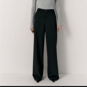 Zara Black Full Length Pants